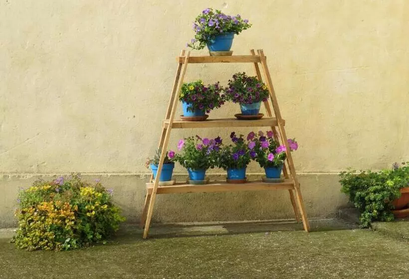 ホテル Agriturismo Rivieraoglio