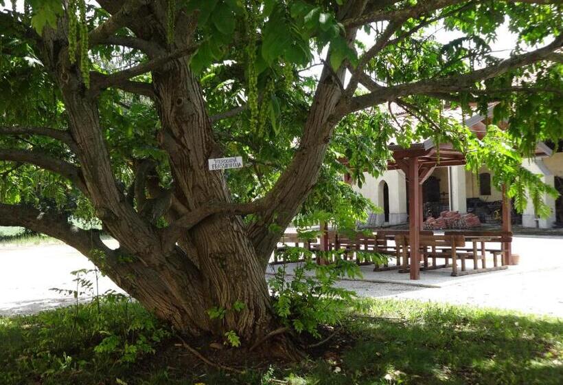 فندق Agriturismo Rivieraoglio