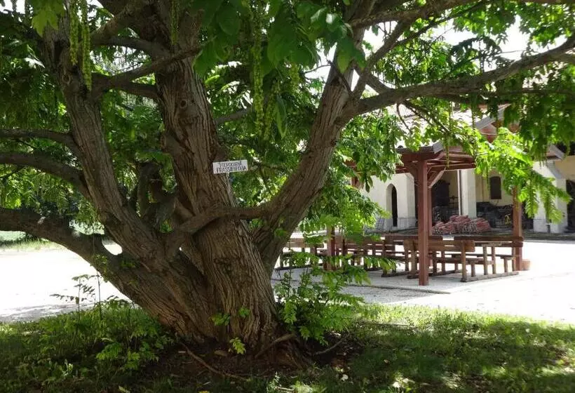 ホテル Agriturismo Rivieraoglio