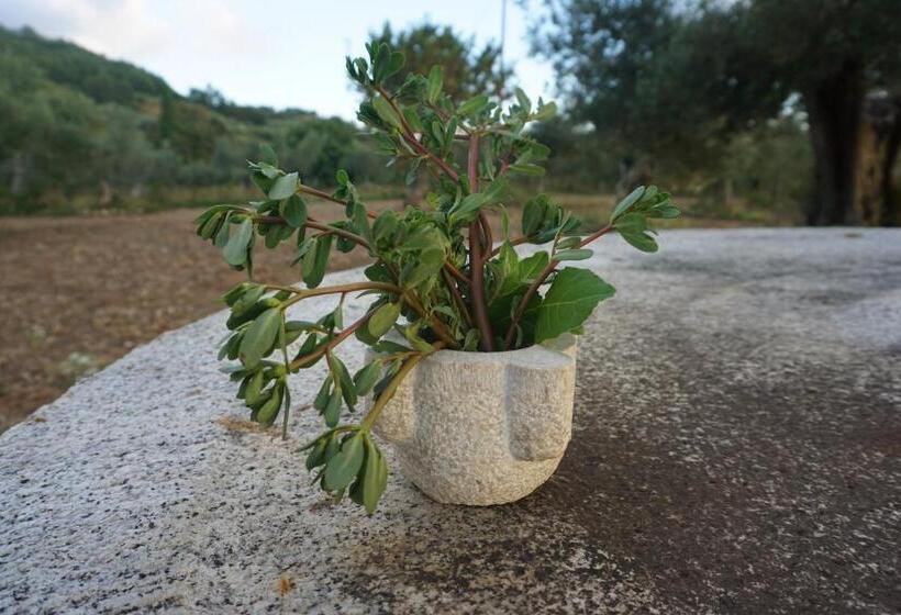 Szálloda Mater Terra