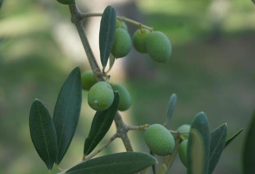 Szálloda Mater Terra