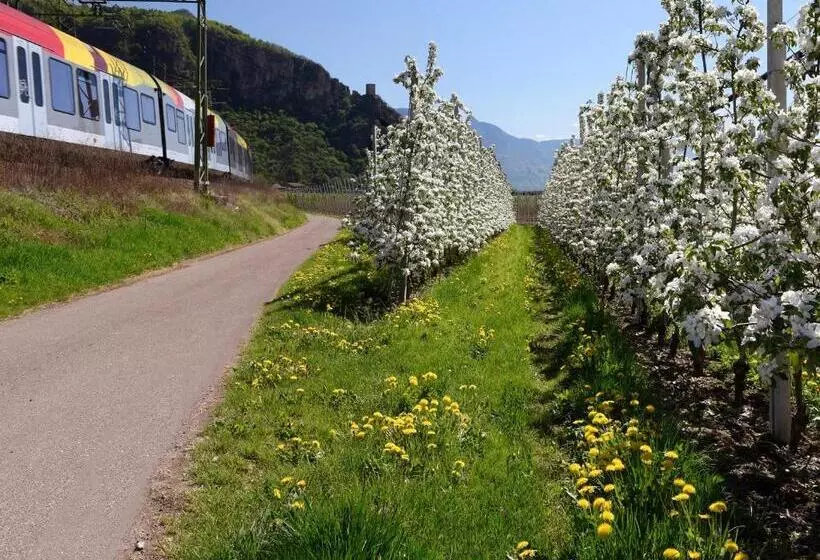 Pension Runer