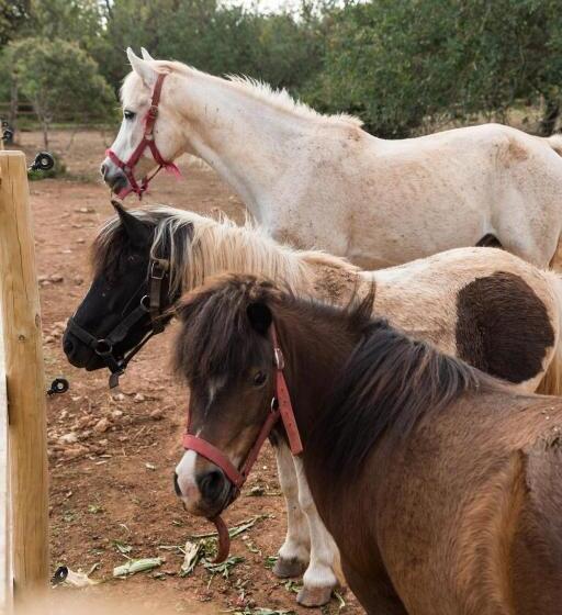 호텔 Tenuta Ferraro Gallipoli