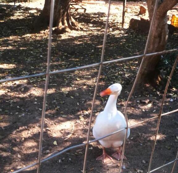 호텔 Tenuta Ferraro Gallipoli