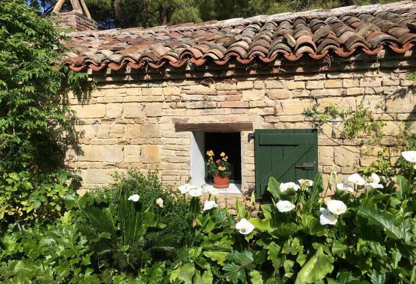 פנסיון Il Colle Delle Terrazze