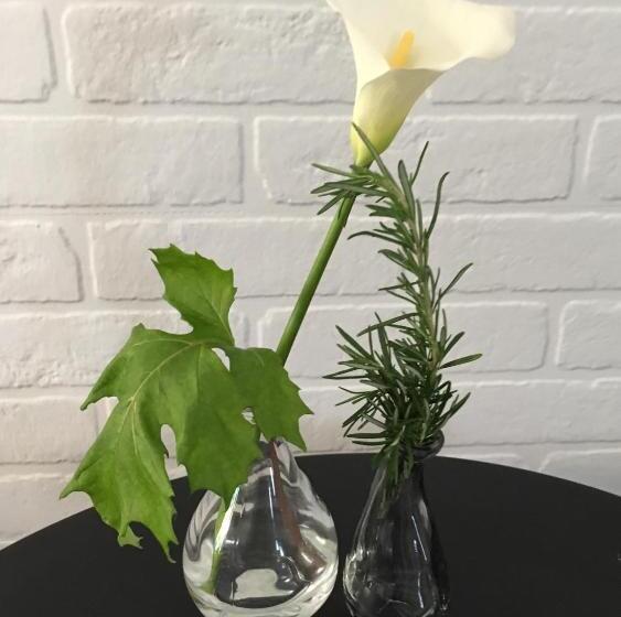 פנסיון Il Colle Delle Terrazze