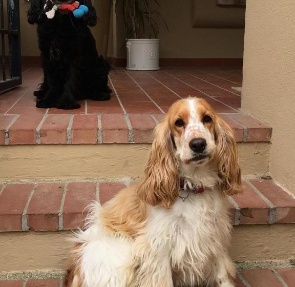 פנסיון Il Colle Delle Terrazze