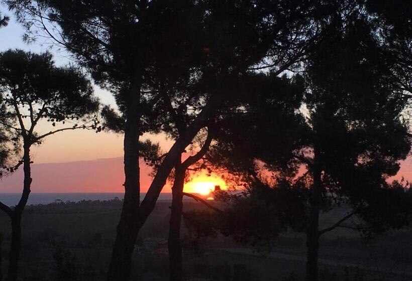 פנסיון Il Colle Delle Terrazze