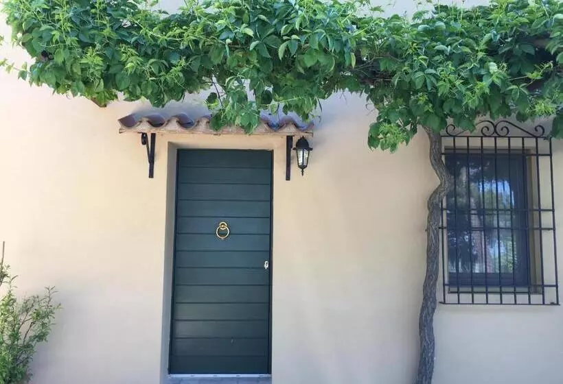 Majatalo Il Colle Delle Terrazze