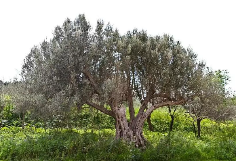 ホテル Agriturismo Rajata