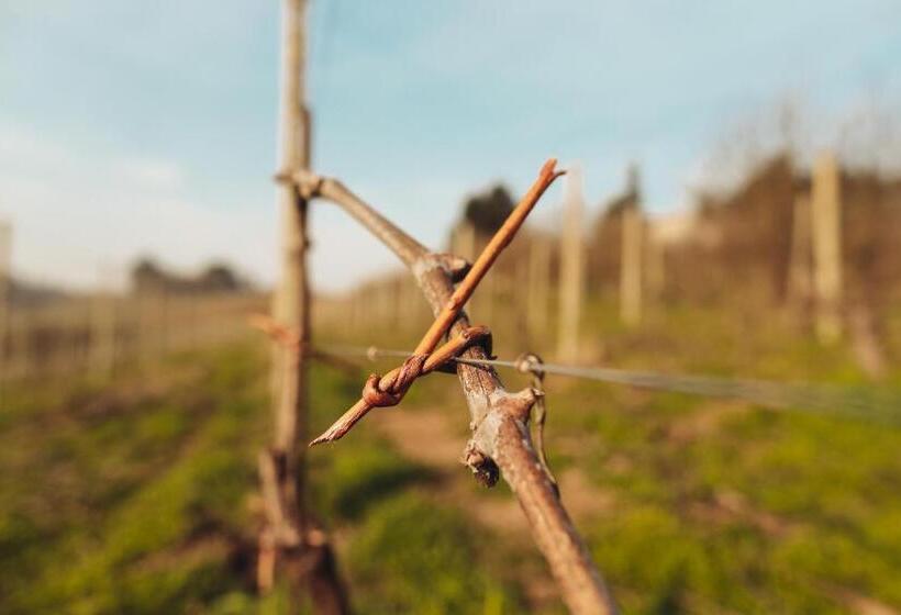 فندق Ca' Colomba