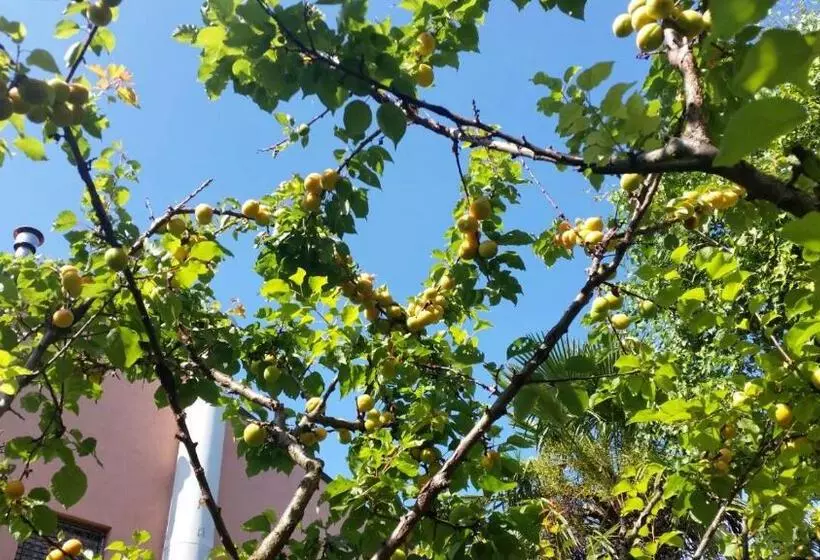 ホテル Eureka Azienda Agrituristica
