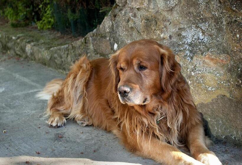 هتل Podere Poggio Mendico