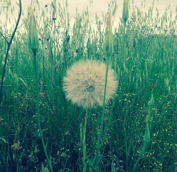 هتل Podere Poggio Mendico