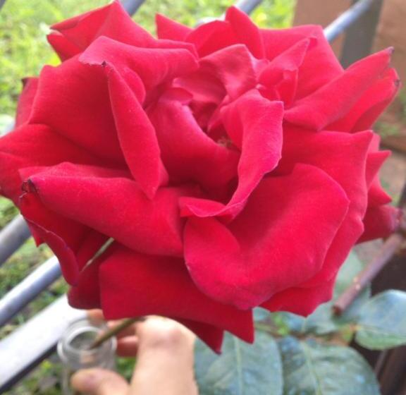 هتل Podere Poggio Mendico