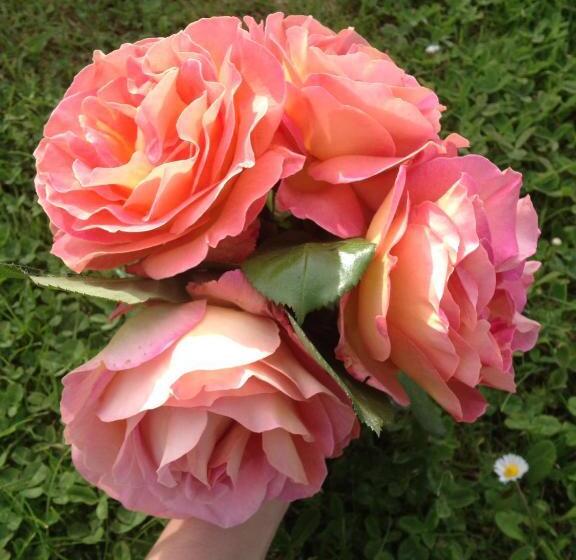 هتل Podere Poggio Mendico