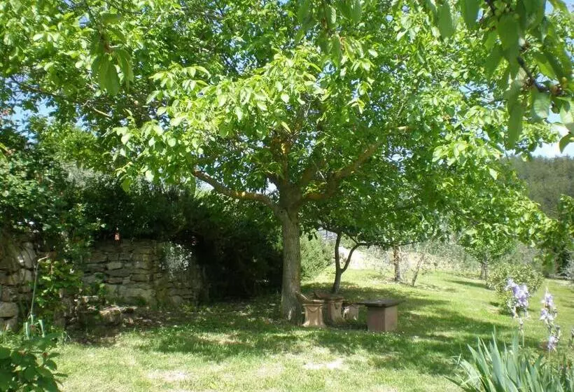 هتل Agriturismo Podere Torre