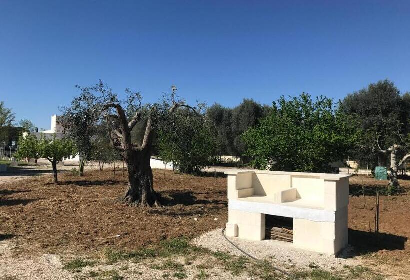 פנסיון Il Casolare Degli Ulivi