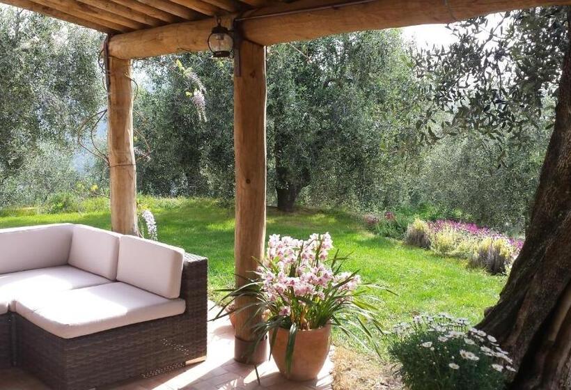 호텔 Agriturismo C'era Una Volta