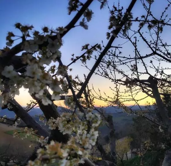 ホテル Agriturismo L'antico Oliveto