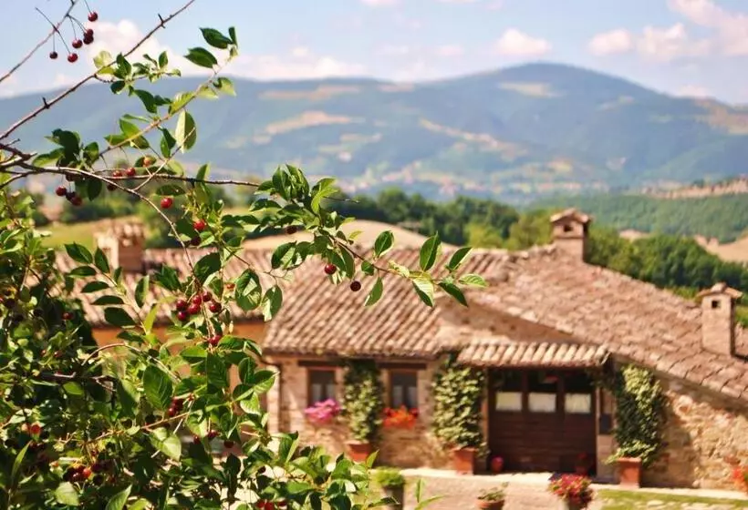 ホテル Agriturismo L'antico Oliveto