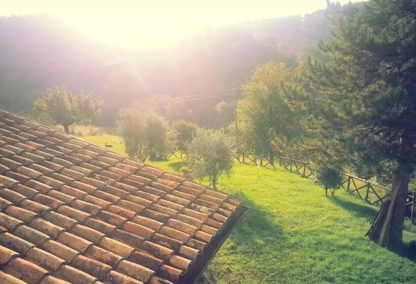 ホテル Agriturismo Santa Giusta