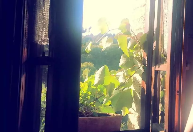 ホテル Agriturismo Santa Giusta