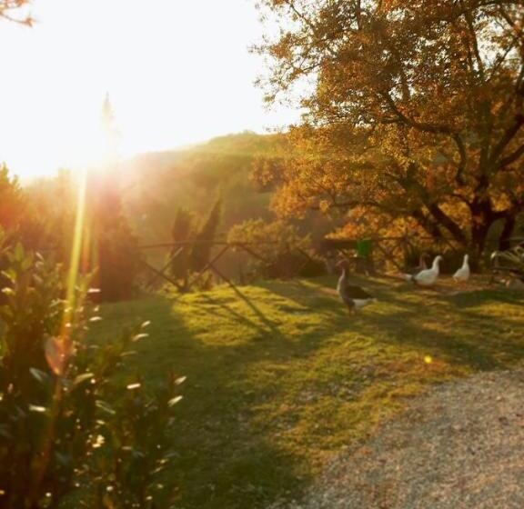 ホテル Agriturismo Santa Giusta