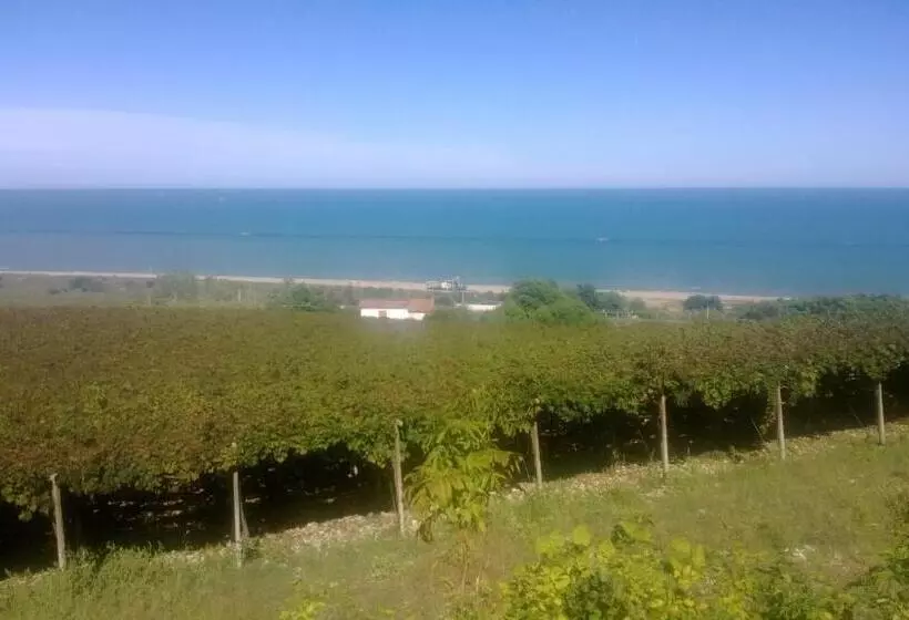 ホテル Agriturismo Santo Stefano