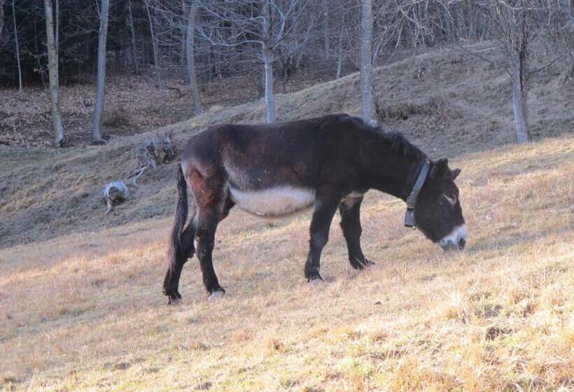 Отель Meiro Di Choco