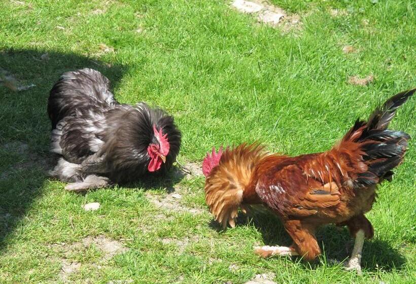 Отель Meiro Di Choco