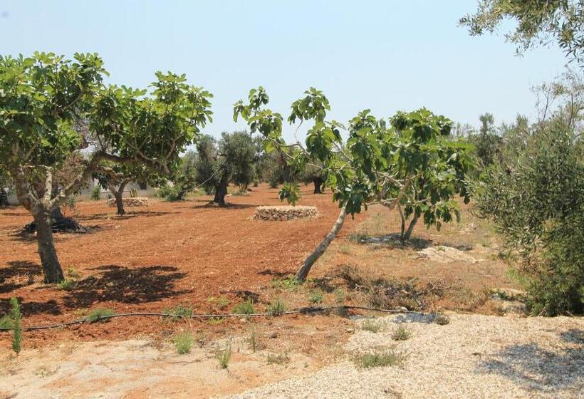 Пансион Country Salenthouse