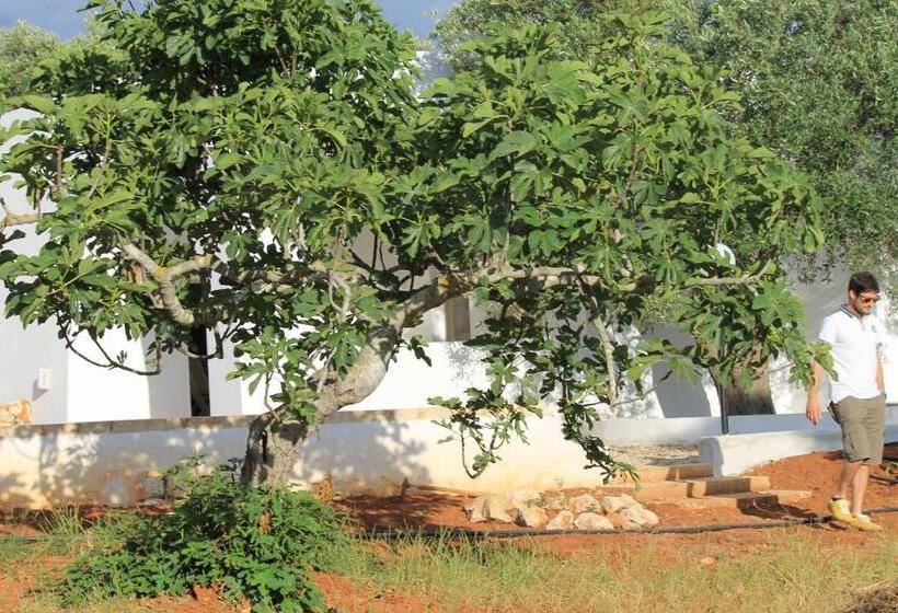 Пансион Country Salenthouse