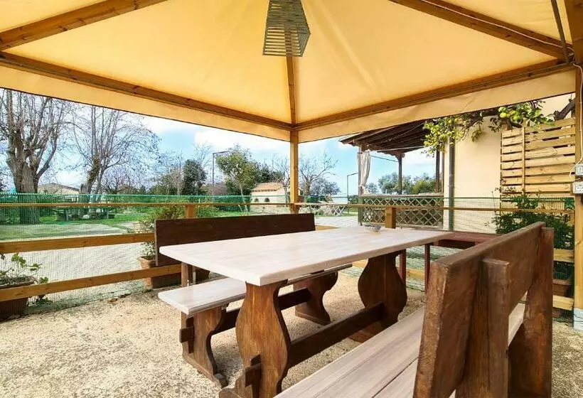 ホテル Agriturismo Barbadoro