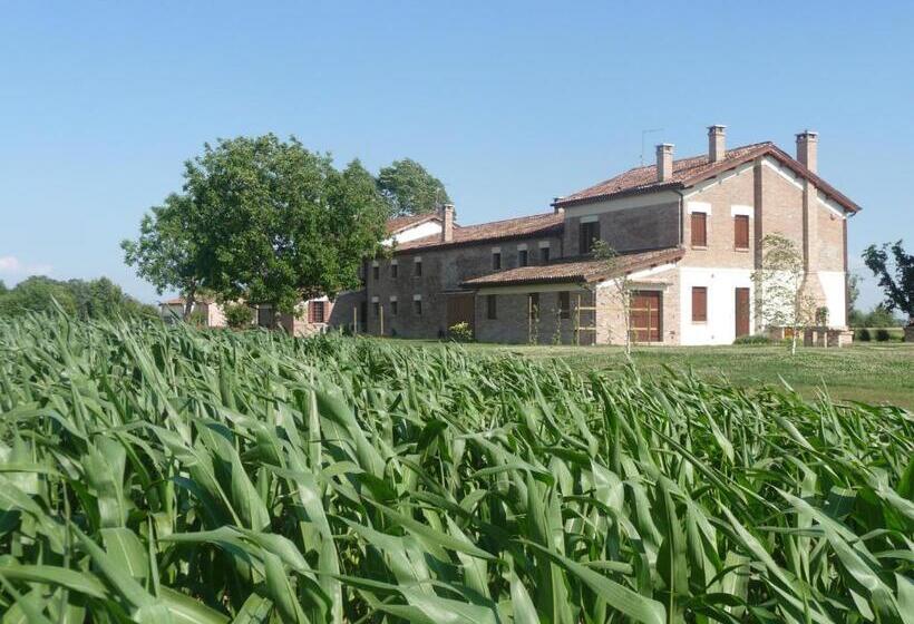 בית מלון כפרי Barchessa Da Rio