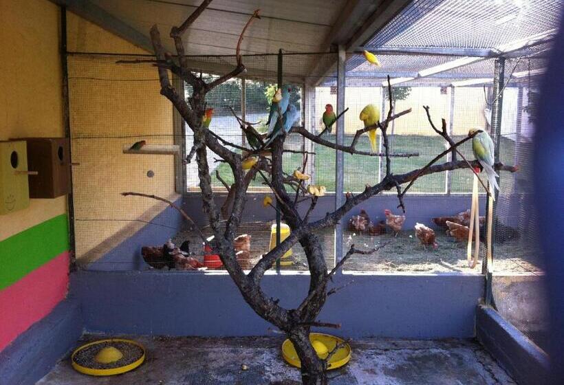 בית מלון כפרי Tenuta Bartoli Maison De Charme