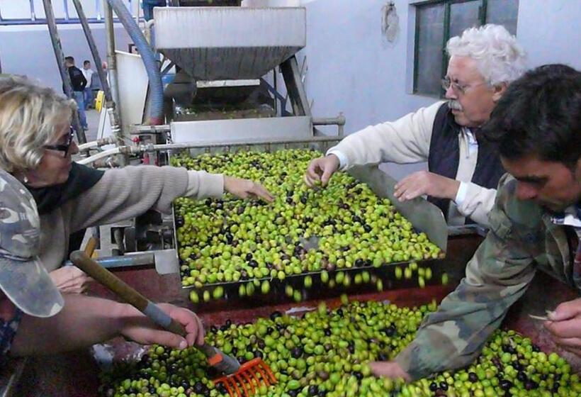 בית מלון כפרי Tenuta Bartoli Maison De Charme