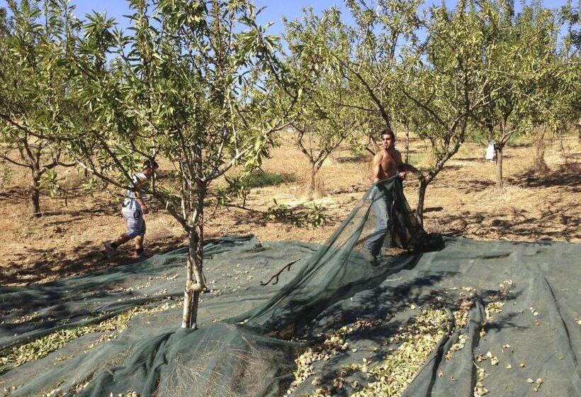 בית מלון כפרי Tenuta Bartoli Maison De Charme