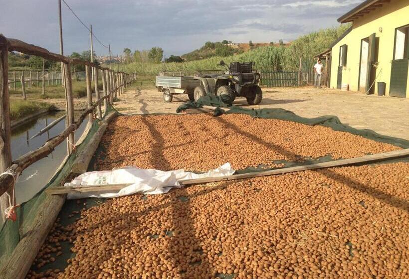 בית מלון כפרי Tenuta Bartoli Maison De Charme