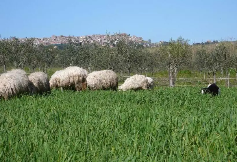 هتل Tenuta Bartoli Maison De Charme