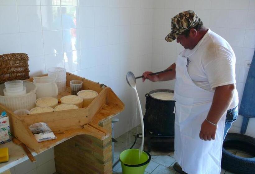 בית מלון כפרי Tenuta Bartoli Maison De Charme