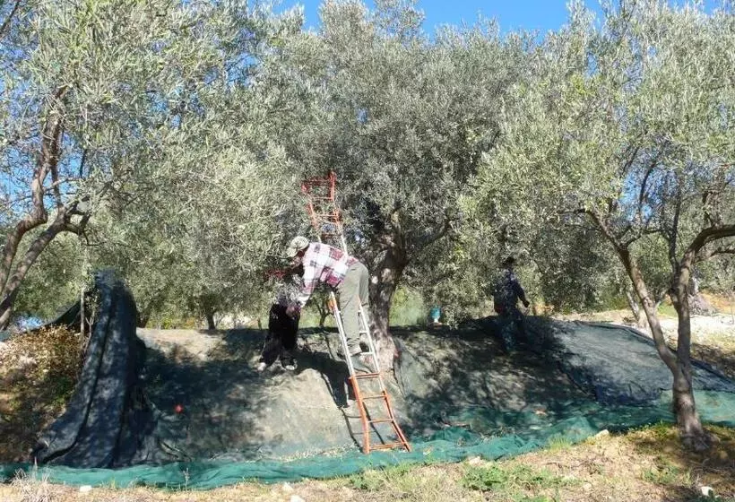هتل Tenuta Bartoli Maison De Charme