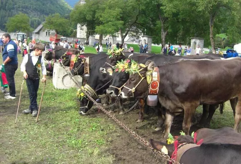 Park Residence Imperator