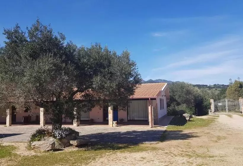 هتل Agriturismo Sa Mandria