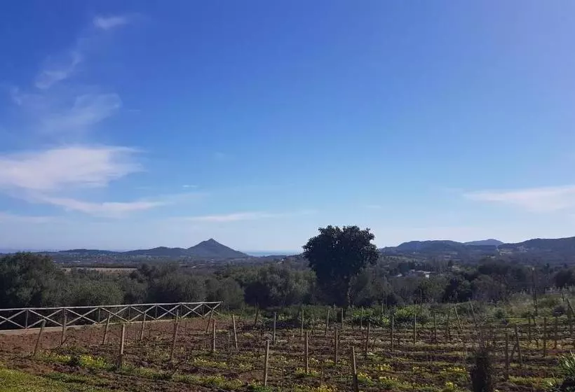 هتل Agriturismo Sa Mandria