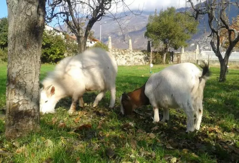 ホテル L'ospitalità Del Castello