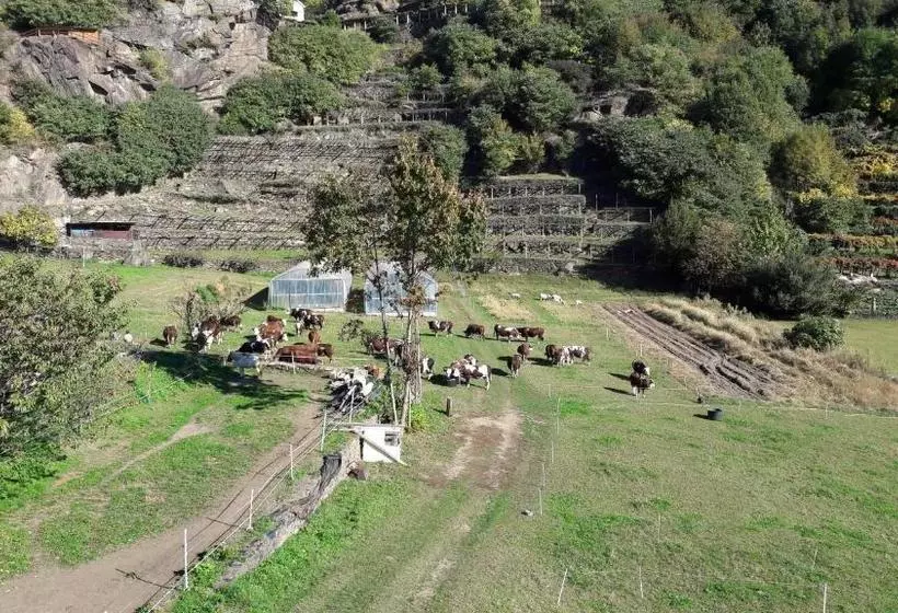 ホテル L'ospitalità Del Castello