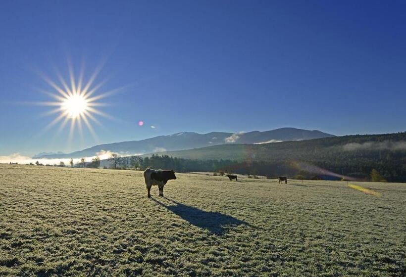 Отель Niedermairhof