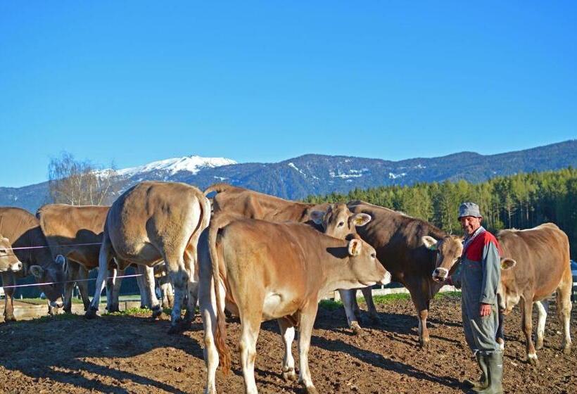 Отель Niedermairhof