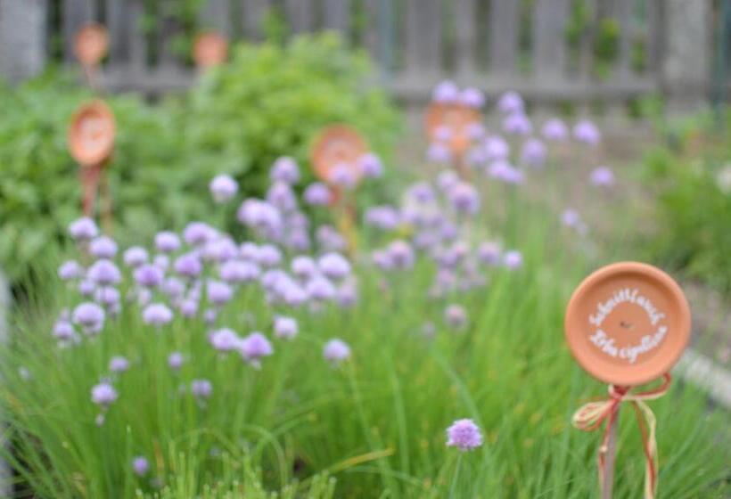 Отель Niedermairhof